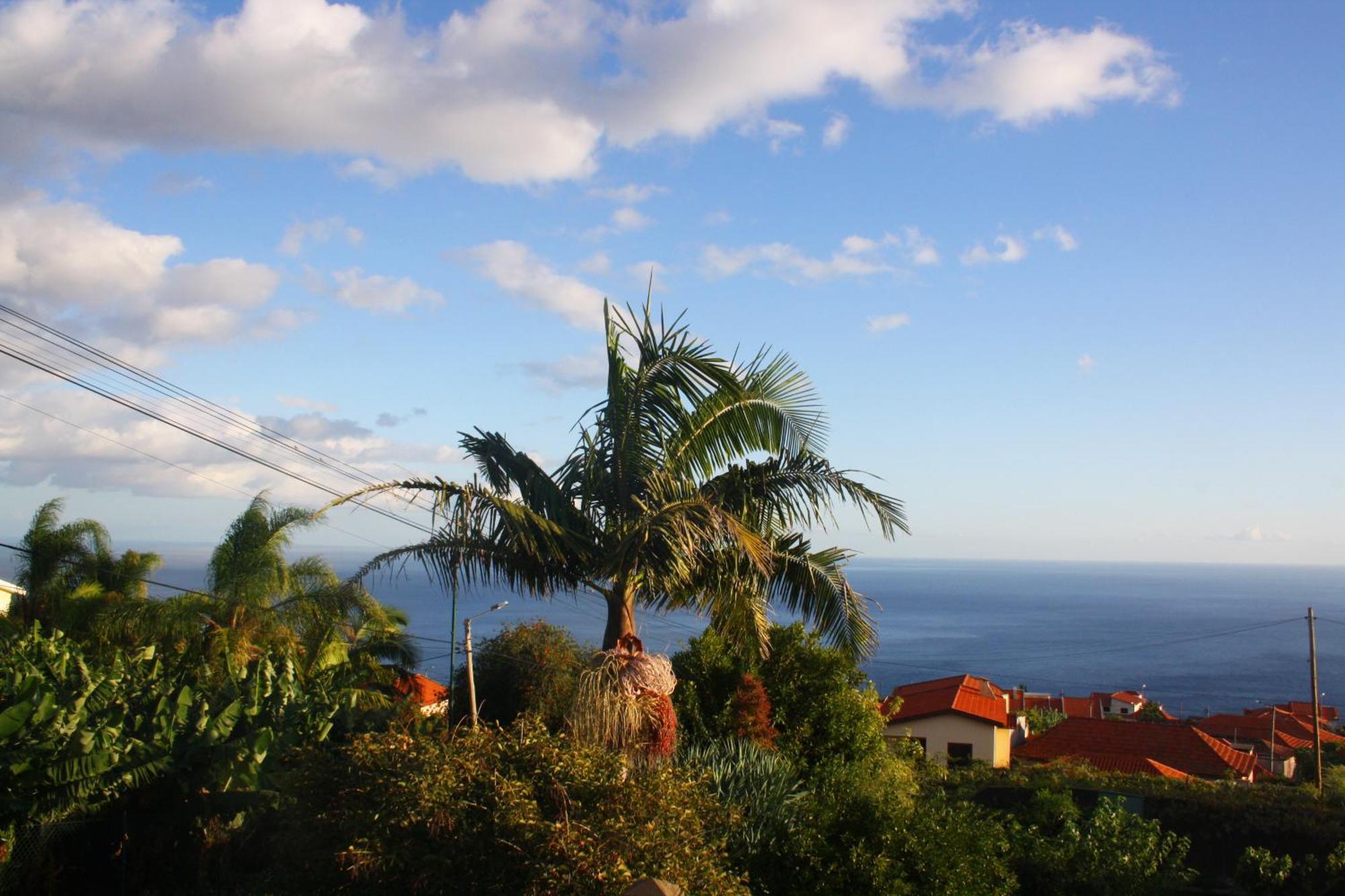 Appartamento Lugar Dos Louros 2 Estreito Da Calheta Esterno foto
