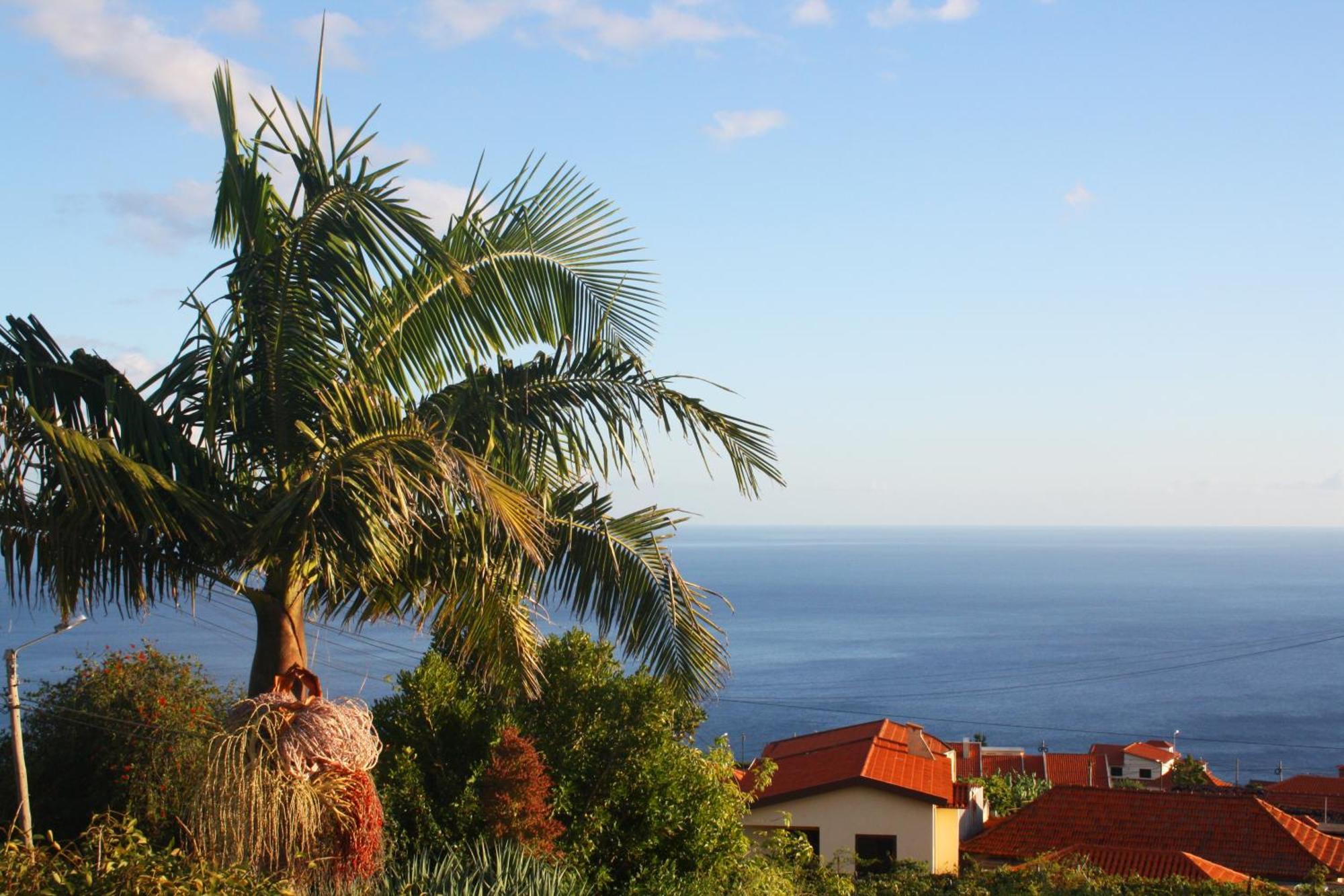 Appartamento Lugar Dos Louros 2 Estreito Da Calheta Esterno foto